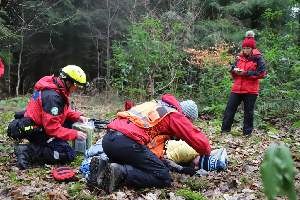 First aid in a forest